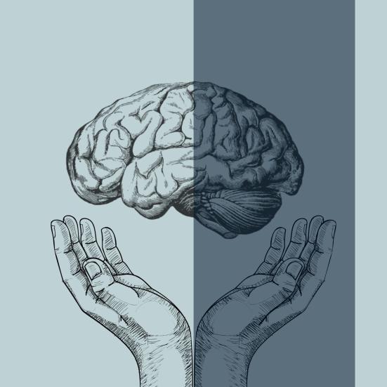 Illustration af to hænder som opløfter en hjerne.