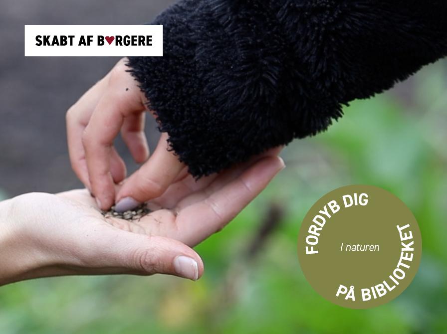 Foto af hænder og plantefrø