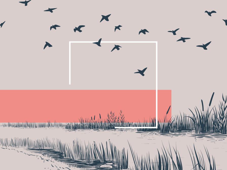 fugle, der flyver over en flod