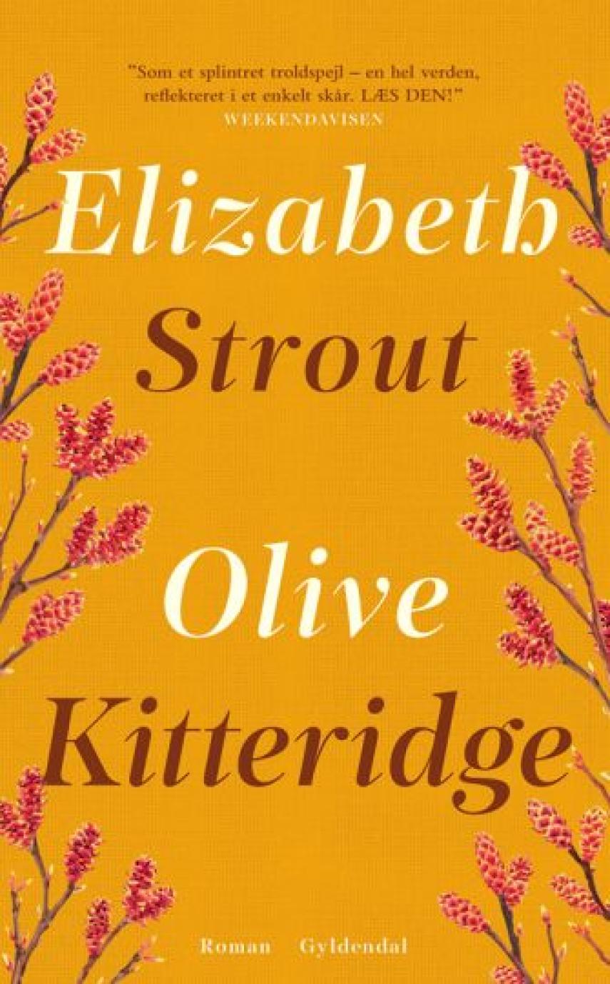 Elizabeth Strout: Olive Kitteridge : roman